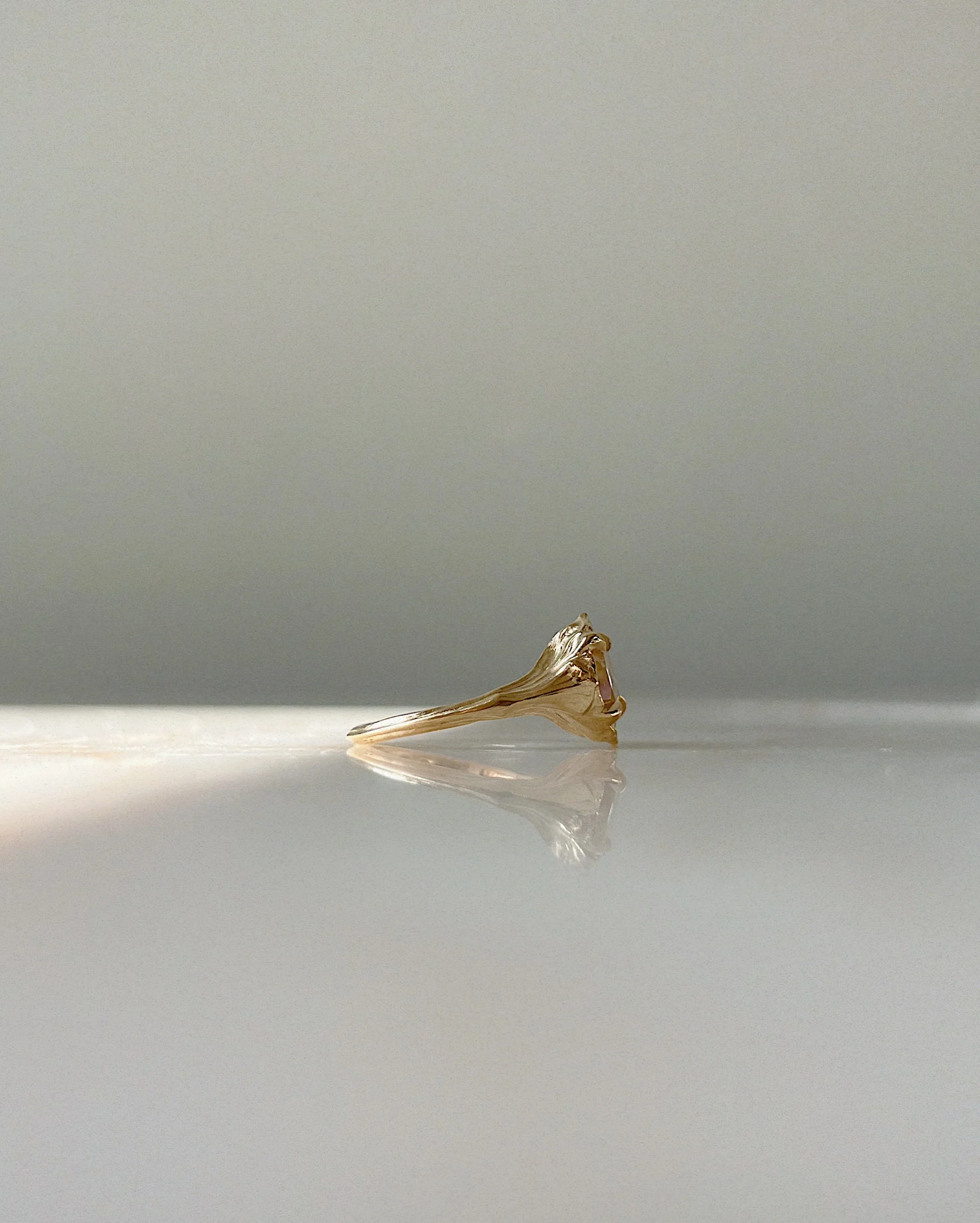 Daphne // Gold - Image 5