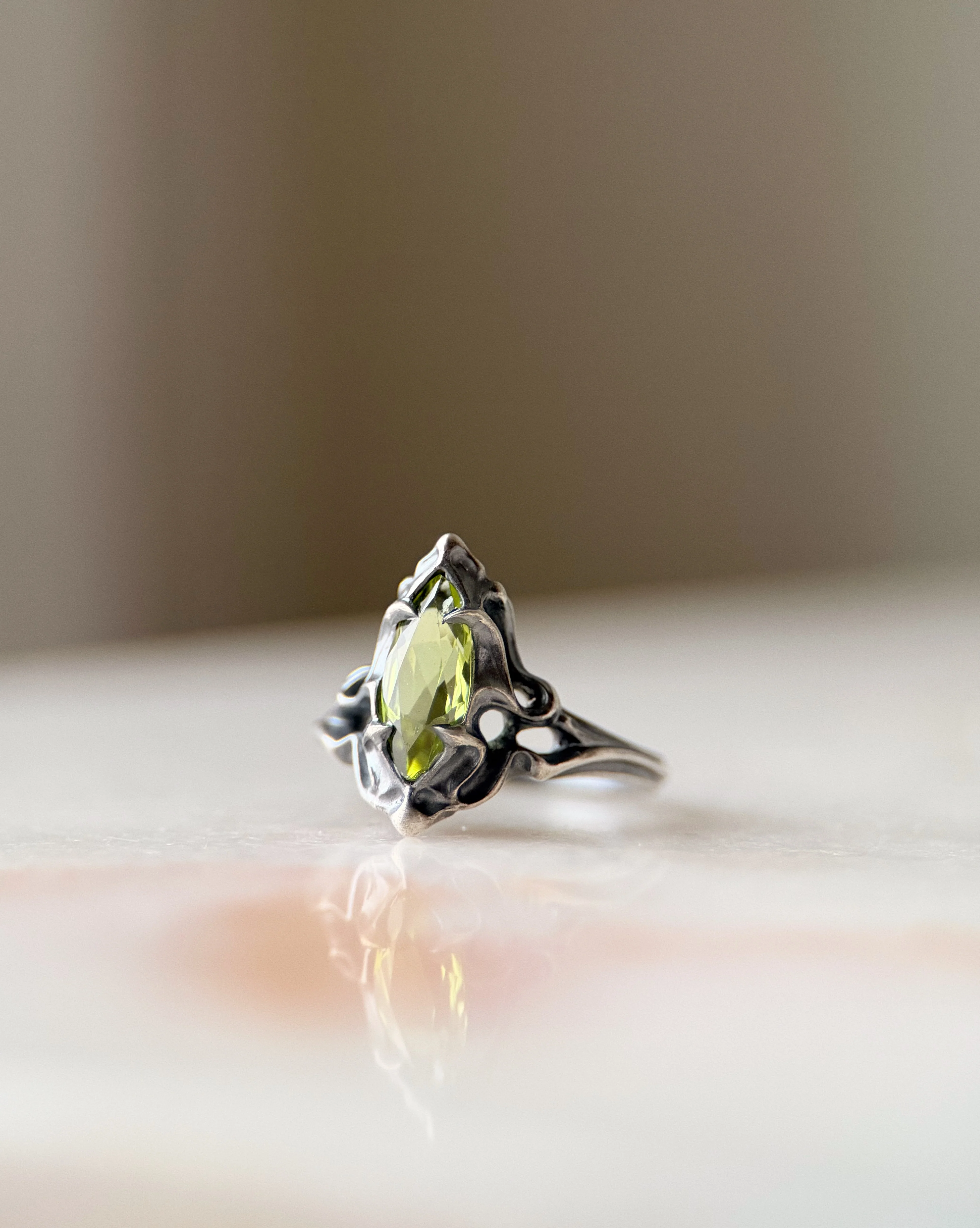 Fouet I ~ - Image 10