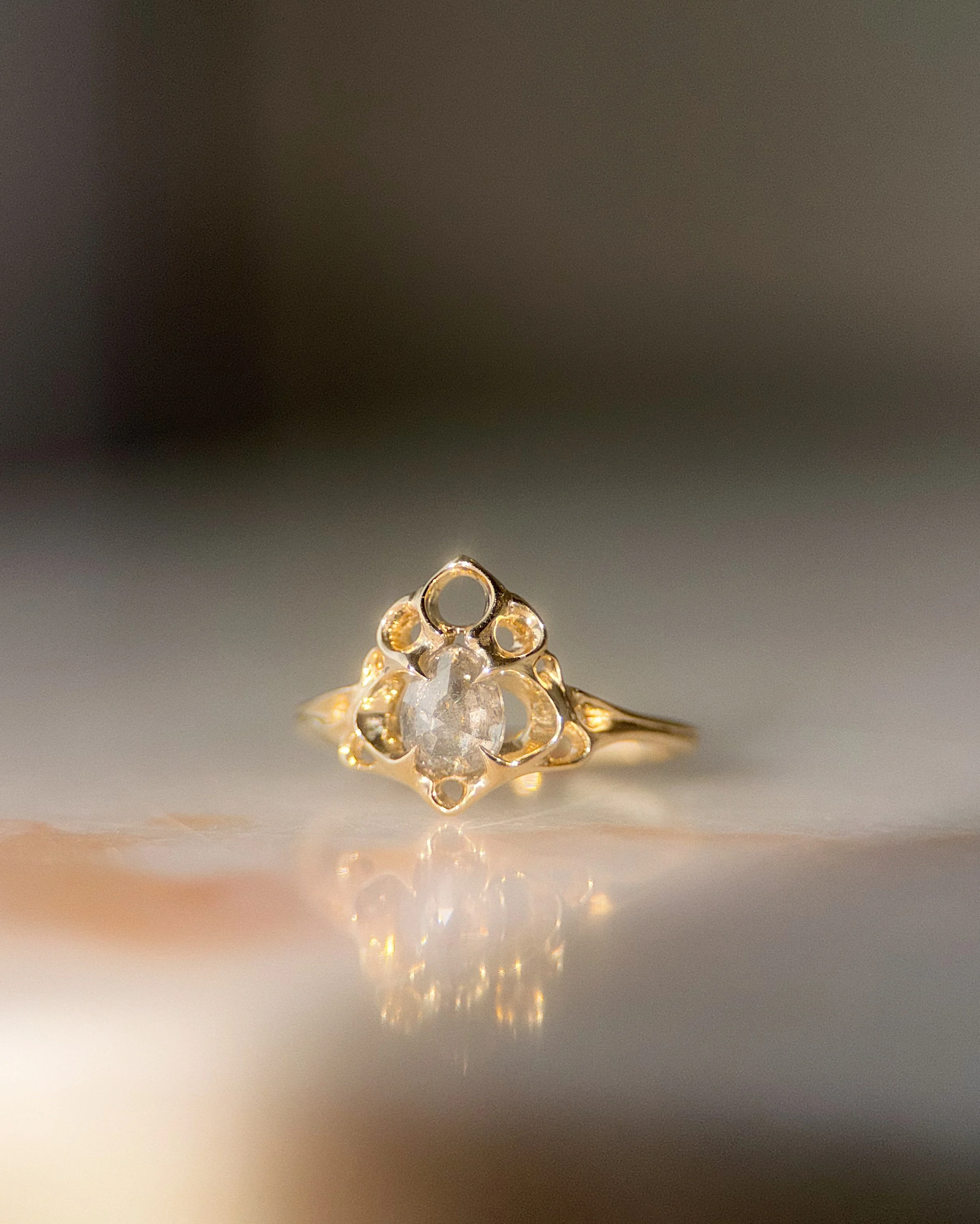 Thrones // 14ky Gold + 0.84ct Salt & Pepper Diamond // 6.75